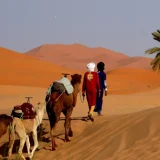 Best-Morocco-Desert-Tours-from-Casablanca.webp