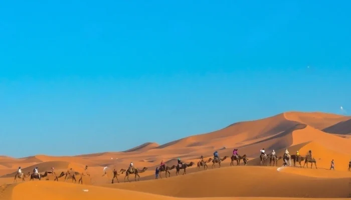 Morocco_Itinerary_7_Days_from_Casablanca_Day_3_Merzouga-