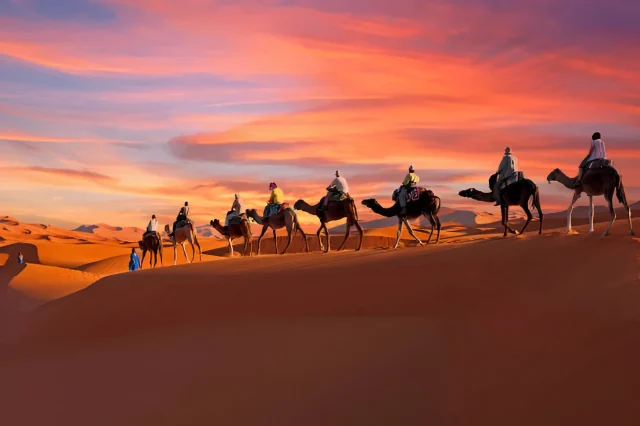 Morocco VIP TOURS DESERT