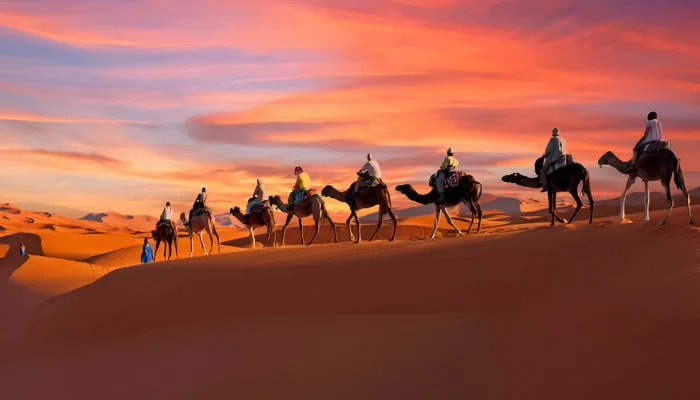 Morocco VIP TOURS DESERT