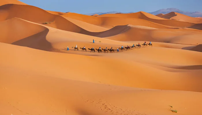 Premium Morocco Tours Merzouga