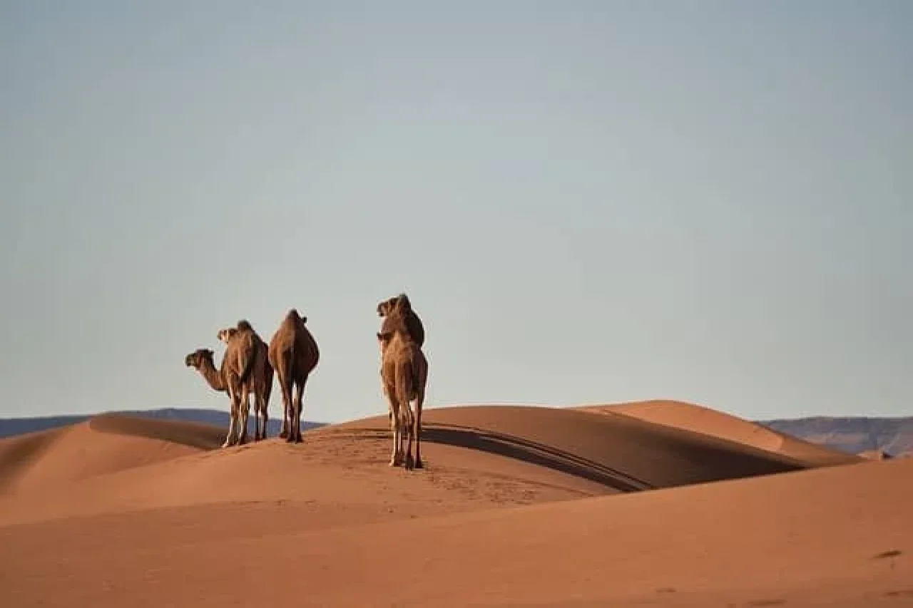 Eco-Tourism in Morocco