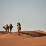 Eco-Tourism in Morocco