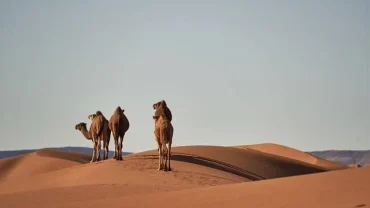 Eco-Tourism in Morocco