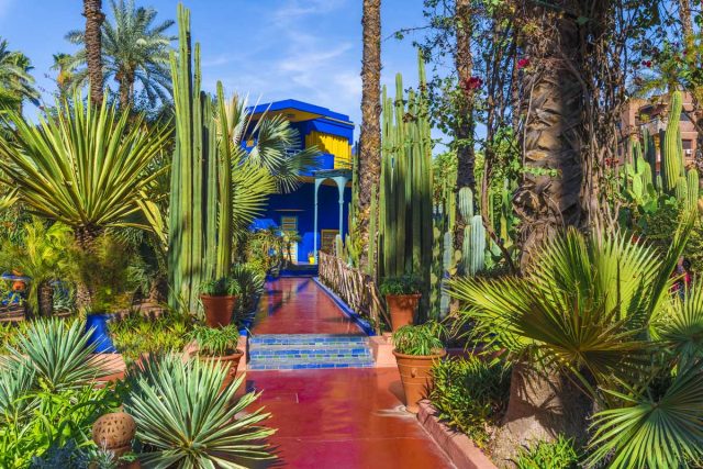 Famille explorant le Jardin Majorelle à Marrakech